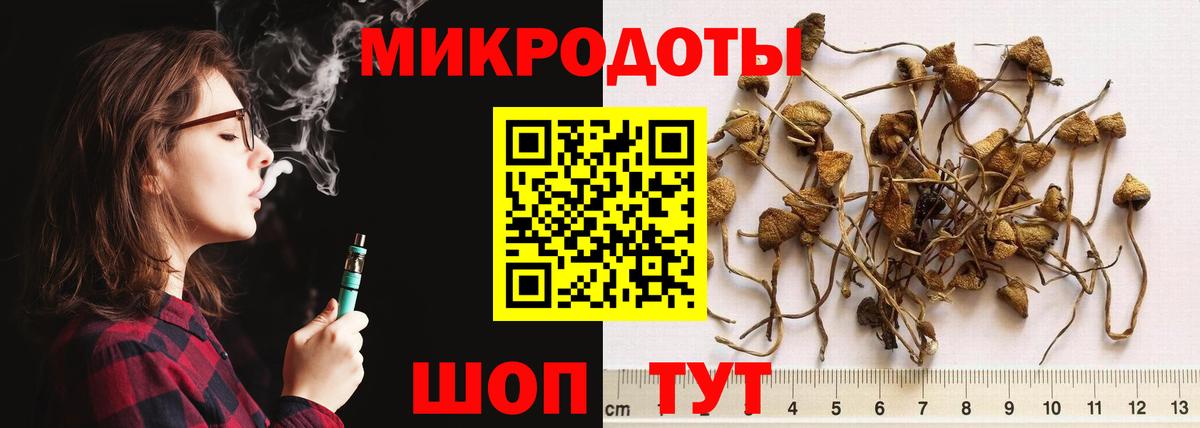 Полевской  Псилоцибиновые грибы GOLDEN TEACHER  купить наркоту  Вход с VPN 